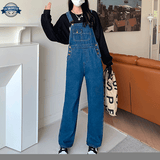 Salopette Bleu Marine Ample